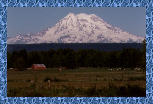 {Mt. Rainier near Eatonville}